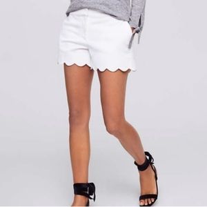 LOFT White Riveria Short with Scalloped Hem (sz 8)